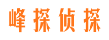 大名市调查公司